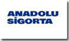 EFE OTOMOTİV 2.SANAYİ BORNOVA  ANADOLU SİGORTA 
